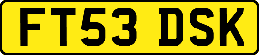 FT53DSK