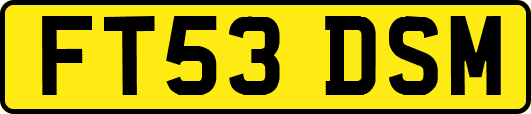 FT53DSM