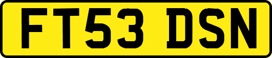 FT53DSN