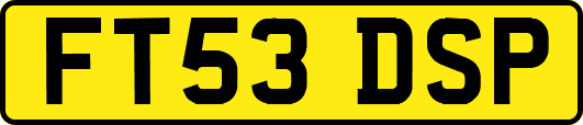 FT53DSP