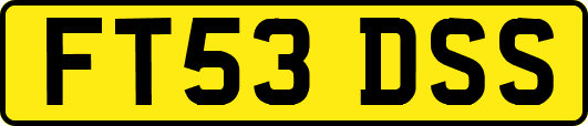 FT53DSS