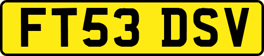 FT53DSV