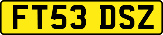 FT53DSZ