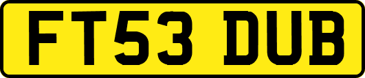FT53DUB