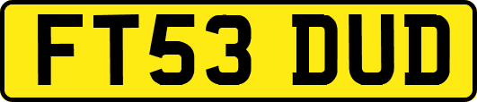 FT53DUD