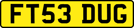 FT53DUG