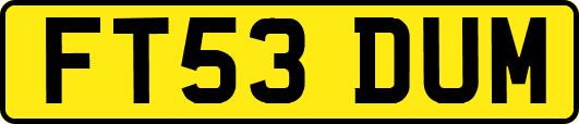 FT53DUM