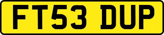 FT53DUP