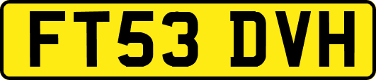FT53DVH
