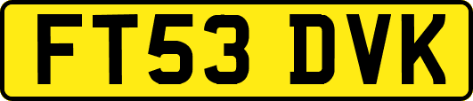FT53DVK