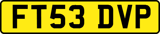 FT53DVP