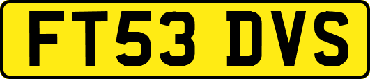 FT53DVS