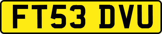 FT53DVU