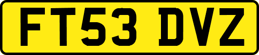 FT53DVZ