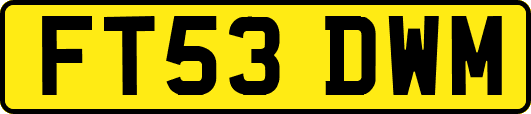FT53DWM