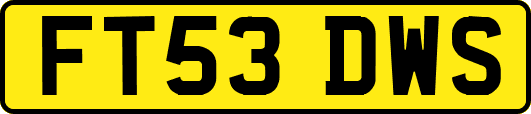 FT53DWS