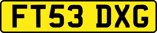 FT53DXG