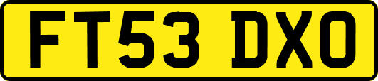FT53DXO