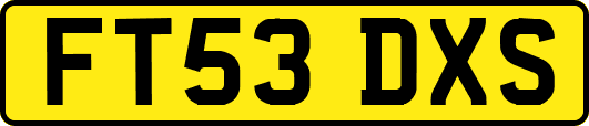 FT53DXS