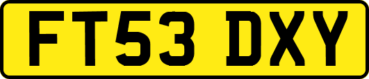 FT53DXY