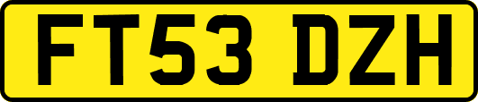 FT53DZH