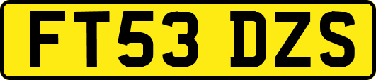 FT53DZS