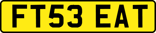 FT53EAT