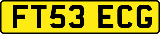 FT53ECG