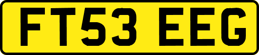FT53EEG