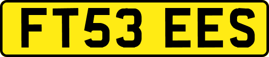FT53EES