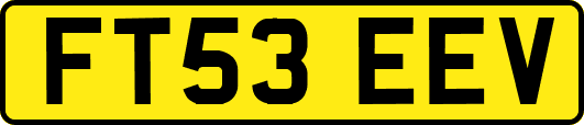 FT53EEV