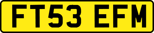 FT53EFM