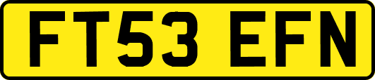 FT53EFN