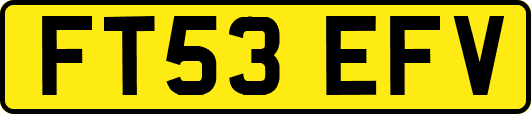 FT53EFV