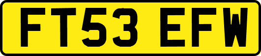 FT53EFW