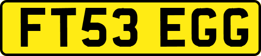 FT53EGG