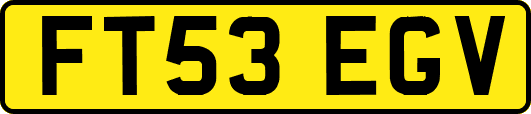 FT53EGV