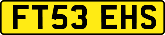 FT53EHS