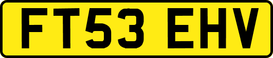 FT53EHV