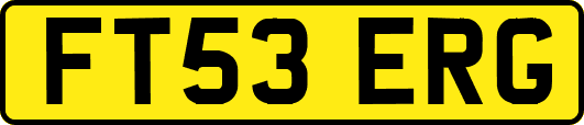 FT53ERG