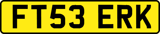 FT53ERK