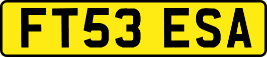 FT53ESA