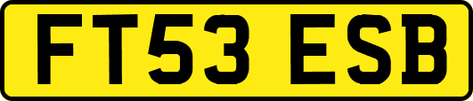 FT53ESB