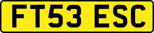FT53ESC