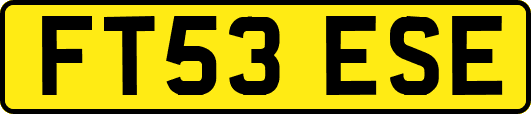 FT53ESE