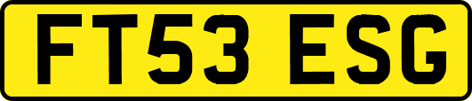 FT53ESG
