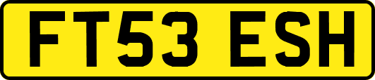 FT53ESH