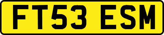FT53ESM