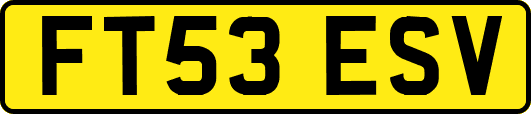 FT53ESV