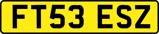 FT53ESZ